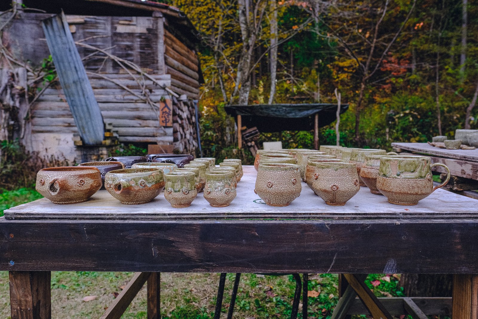 Creating the Fukushima Collection: Part Two